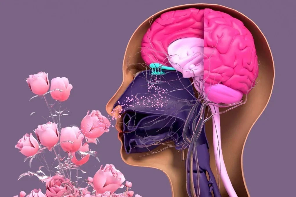Consuming Goodness: BREATHE